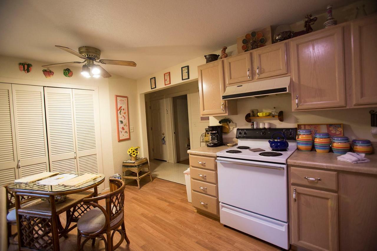 فيلا ليك لوريفي Pine Gables Cabins المظهر الخارجي الصورة