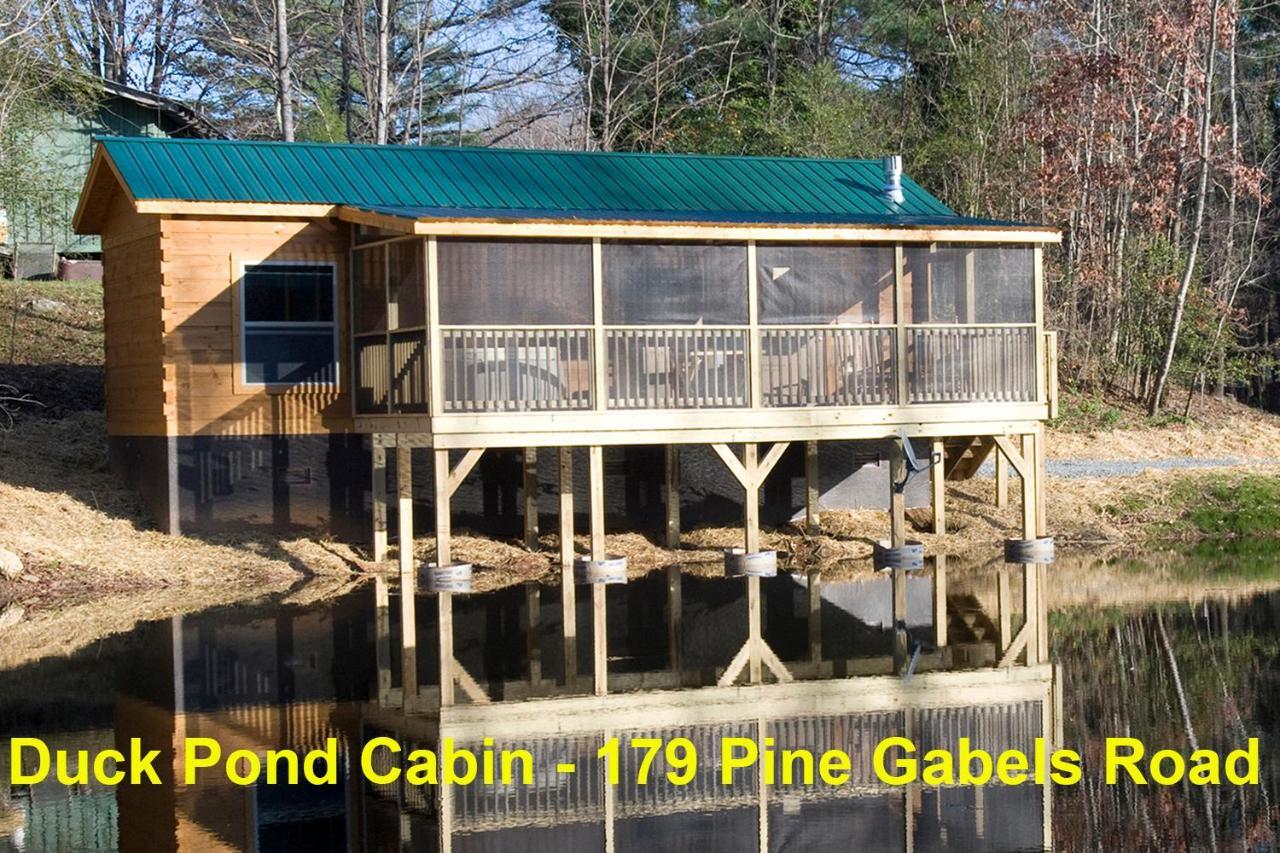 فيلا ليك لوريفي Pine Gables Cabins المظهر الخارجي الصورة
